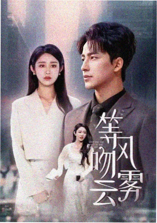 双面母亲 家庭伦理剧封面